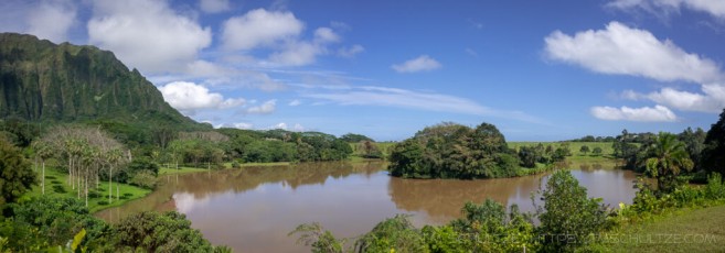 HW7 is a photograph by T.M. Schultze taken at Oahu,