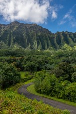 HW4 is a photograph by T.M. Schultze taken 2019 at Oahu, Hawaii