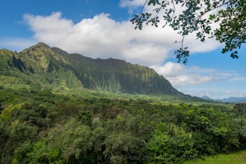 HW2 is a photograph by T.M. Schultze taken at Oahu,