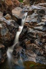 MTRP50 is a photograph by T.M. Schultze taken at ,
