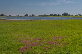 SRPER3 is a photograph by T.M. Schultze taken 2019 at Temecula, California
