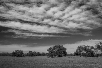 SRPER1 is a photograph by T.M. Schultze taken at ,