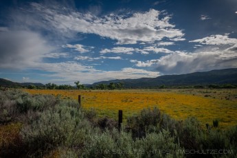 BKS15 is a photograph by T.M. Schultze taken at ,