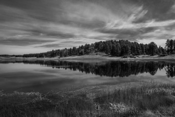 LM109 is a photograph by T.M. Schultze taken 2019 at ,
