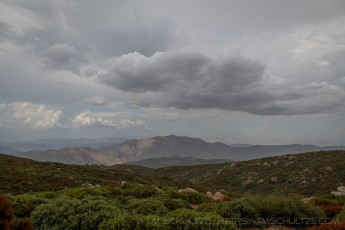 LM114 is a photograph by T.M. Schultze taken 2019 at Laguna Mountains, California
