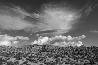 JT145 is a photograph by T.M. Schultze taken at Joshua Tree National Park, California