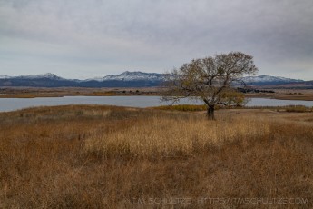 EC27 is a photograph by T.M. Schultze taken 2021 at Lake Henshaw, California