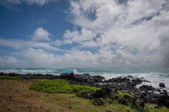 HW5 is a photograph by T.M. Schultze taken 2019 at Oahu, Hawaii