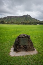 HW7 is a photograph by T.M. Schultze taken 2019 at Honolulu, Hawaii