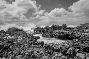 HW8 is a photograph by T.M. Schultze taken 2019 at Oahu, Hawaii