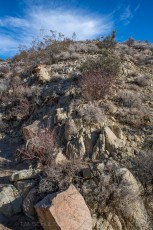 JT114 is a photograph by T.M. Schultze taken 2019 at Joshua Tree National Park, California