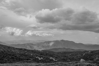 LM113 is a photograph by T.M. Schultze taken at ,