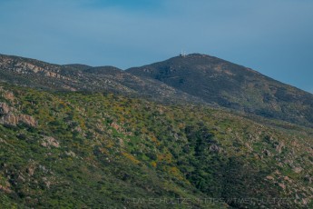 MTRP58 is a photograph by T.M. Schultze taken 2019 at San Diego, California