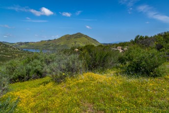 SDRP10 is a photograph by T.M. Schultze taken 2019 at San Diego, California