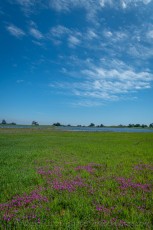 SRPER5 is a photograph by T.M. Schultze taken 2019 at Temecula, California