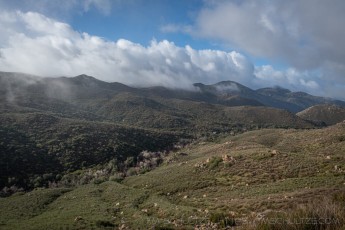 SWT3 is a photograph by T.M. Schultze taken 2019 at Alpine, California