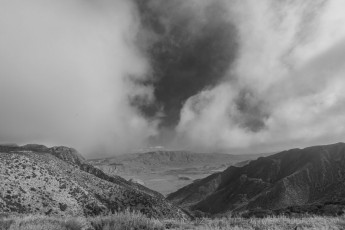 LM115 is a photograph by T.M. Schultze taken 2020 at Laguna Mountains, California