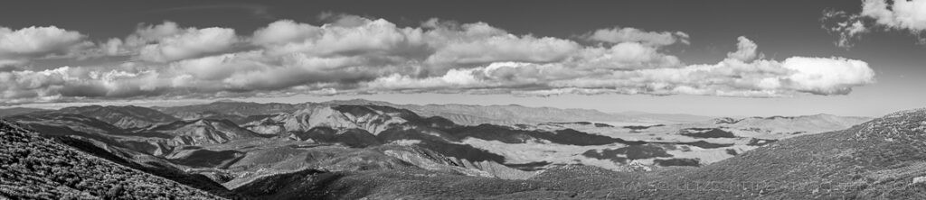 LM116 is a photograph by T.M. Schultze taken at ,