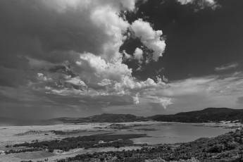 is a photograph by T.M. Schultze taken at Cleveland National Forest, California