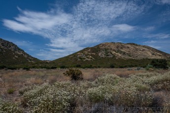 CNF72 is a photograph by T.M. Schultze taken 2020 at Cleveland National Forest, California