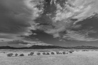 EC35 is a photograph by T.M. Schultze taken 2020 at Warner Springs, California