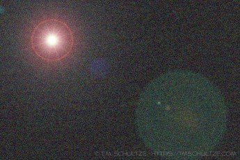 Contagion by T.M. Schultze is a photograph by T.M. Schultze taken 2020 at Santee, California