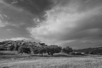 EC38 is a photograph by T.M. Schultze taken 2020 at Santa Ysabel, California