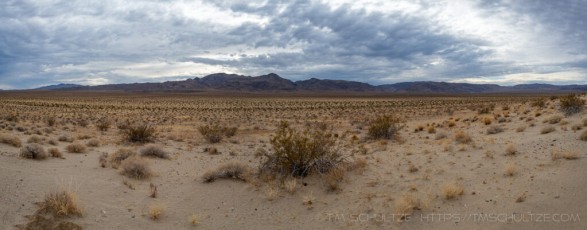 JT158 is a photograph by T.M. Schultze taken 2020 at Joshua Tree National Park, California