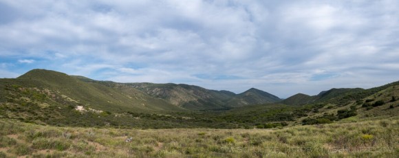 LM119 is a photograph by T.M. Schultze taken 2020 at Laguna Mountains, California