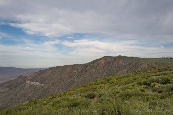 LM122 is a photograph by T.M. Schultze taken 2020 at Laguna Mountains, California