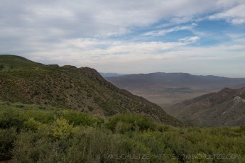 LM123 is a photograph by T.M. Schultze taken 2020 at Laguna Mountains, California