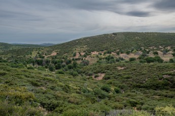 LM130 is a photograph by T.M. Schultze taken 2020 at Laguna Mountains, California