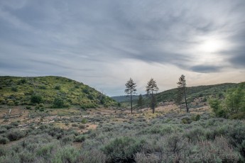 LM133 is a photograph by T.M. Schultze taken at Laguna Mountains, California