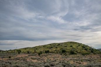 LM137 is a photograph by T.M. Schultze taken 2020 at Laguna Mountains, California