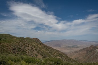LM145 is a photograph by T.M. Schultze taken 2020 at Laguna Mountains, California