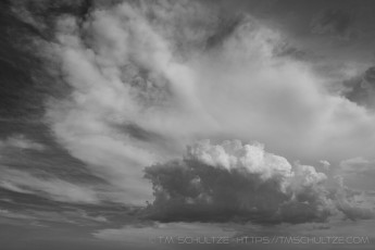 ME32 is a photograph by T.M. Schultze taken 2020 at Ranchita, California