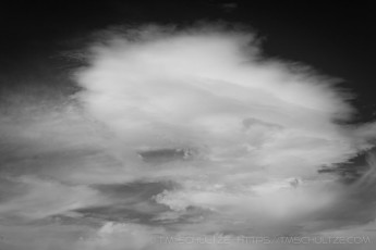 ME44 is a photograph by T.M. Schultze taken 2020 at Laguna Mountains, California