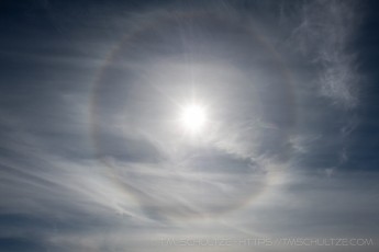 ME49 is a photograph by T.M. Schultze taken 2020 at Laguna Mountains, California