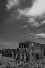 OH8065 is a photograph by T.M. Schultze taken 2020 at Buckman Springs, California
