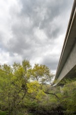 SNT45 is a photograph by T.M. Schultze taken 2020 at Santee, California