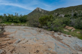 CRSP41 is a photograph by T.M. Schultze taken 2021 at Cuyamaca Rancho State Park, California