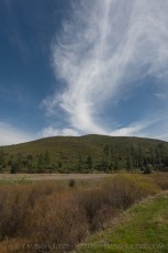 CRSP49 is a photograph by T.M. Schultze taken 2021 at Cuyamaca Rancho State Park, California