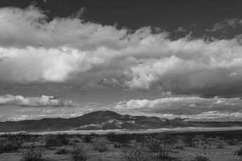 JT238 is a photograph by T.M. Schultze taken 2021 at Joshua Tree National Park, California