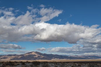 JT246 is a photograph by T.M. Schultze taken 2021 at Joshua Tree National Park, California