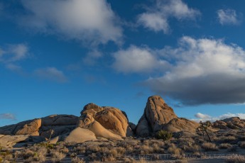 JT287 is a photograph by T.M. Schultze taken 2021 at Joshua Tree National Park, California