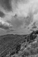 LM139 is a photograph by T.M. Schultze taken 2021 at Laguna Mountains, California