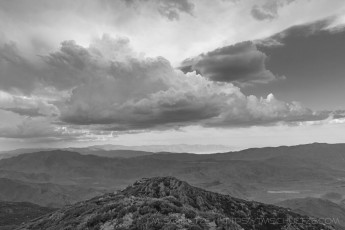 LM146 is a photograph by T.M. Schultze taken 2021 at Laguna Mountains, California