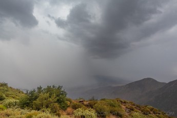 LM152 is a photograph by T.M. Schultze taken 2021 at Laguna Mountains, California