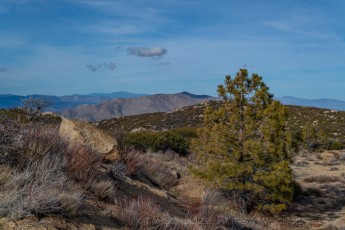 LM91 is a photograph by T.M. Schultze taken 2021 at Laguna Mountains, California