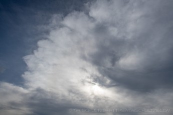 ME65 is a photograph by T.M. Schultze taken 2021 at Laguna Mountains, California